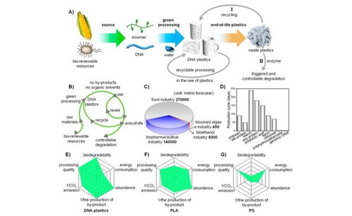 天津大學研發可持續DNA生物塑料 全流程綠色環保，用水即可回收