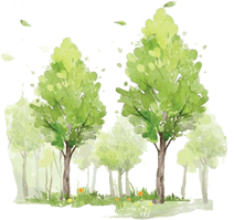 聚焦丨首個(gè)“孔子故鄉(xiāng)·中國(guó)山東”文化交流中心落戶德國(guó)巴伐利亞州 音像制品制作