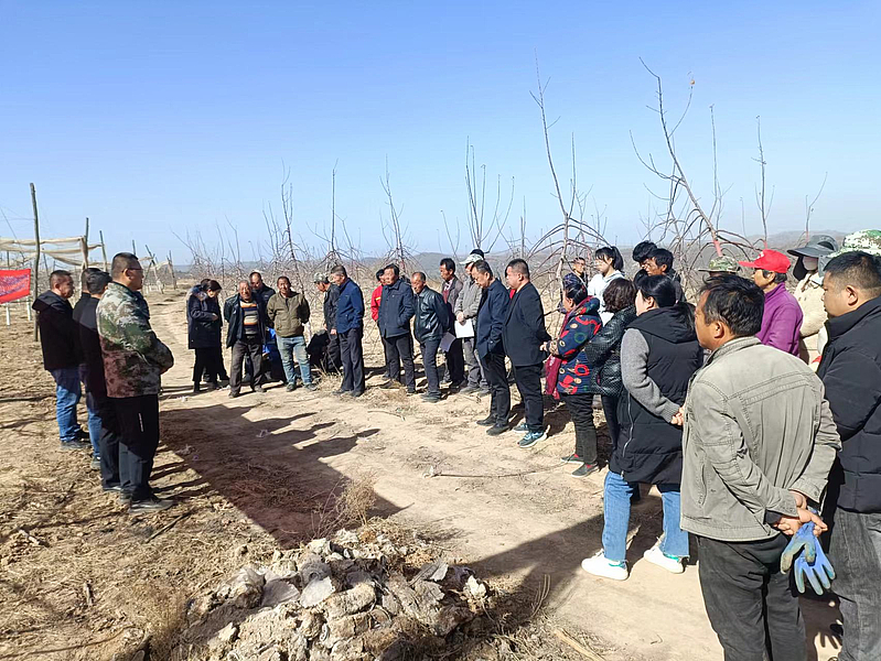 地膜回收，共筑綠色家園 環(huán)境保護(hù)專用設(shè)備的技術(shù)突破與社會(huì)意義